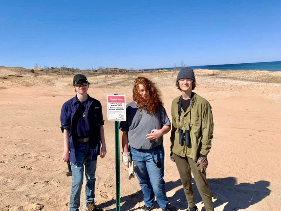 Piping Plover Protection