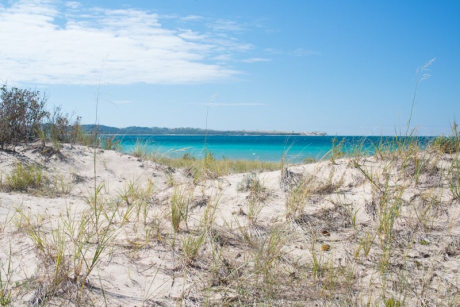 Beach Clean Up Days